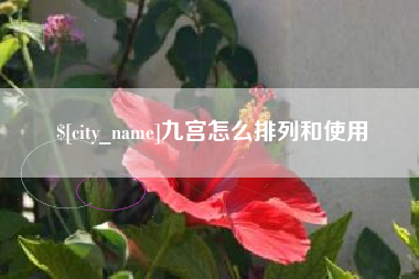 枣庄九宫怎么排列和使用