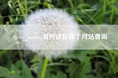 枣庄消控证在哪个网站查询