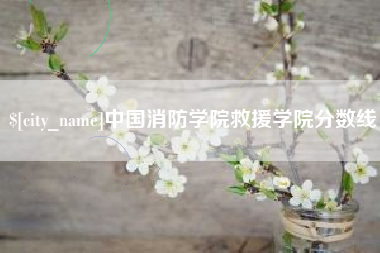 枣庄中国消防学院救援学院分数线