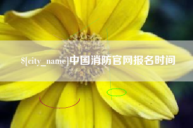 枣庄中国消防官网报名时间