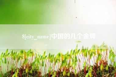 枣庄中国的几个金牌