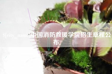 枣庄中国消防救援学院招生章程公布!