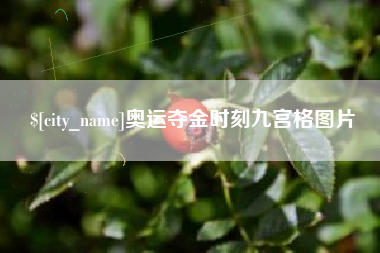枣庄奥运夺金时刻九宫格图片