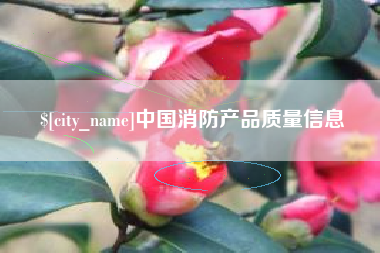枣庄中国消防产品质量信息