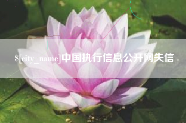 枣庄中国执行信息公开网失信