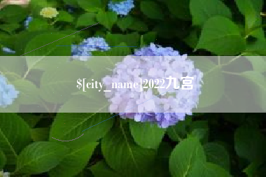 枣庄2022九宫