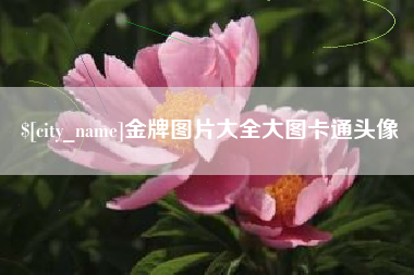 枣庄金牌图片大全大图卡通头像