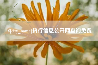 枣庄执行信息公开网查询免费