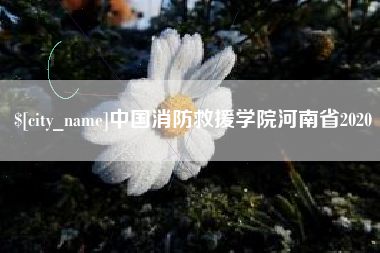 枣庄中国消防救援学院河南省2020